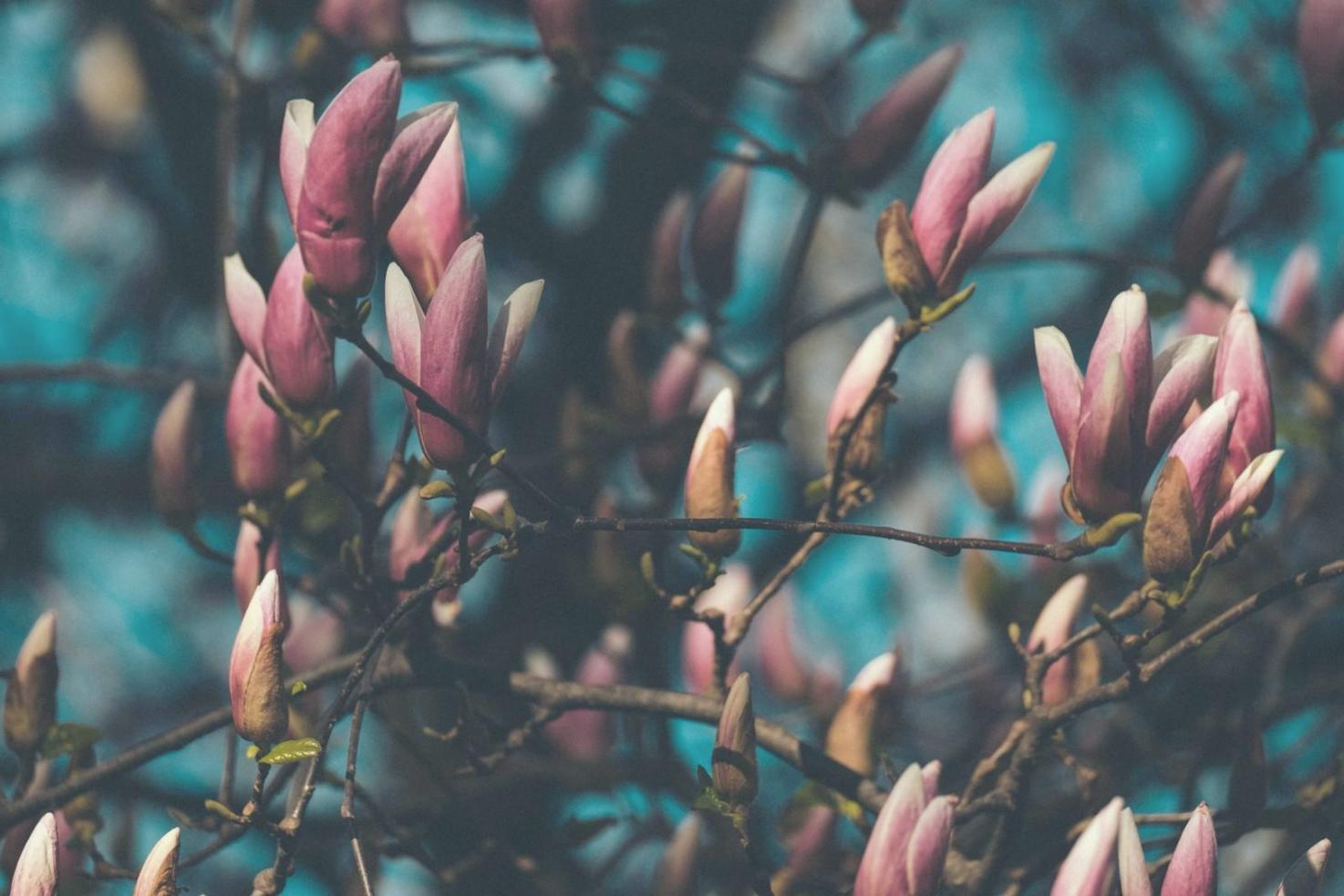 Contoh buket hasil kolaborasi dengan klien yang menunjukkan perpaduan unik antara preferensi personal dan keahlian florist